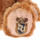 UniBEARsity - Peluche Pudding