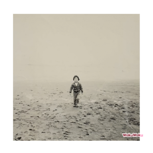 Tomonao Ozaki – Slow Motion (LP 12 pulgadas)