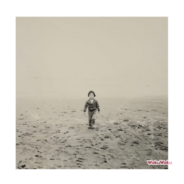 Tomonao Ozaki – Slow Motion (LP 12 pulgadas)