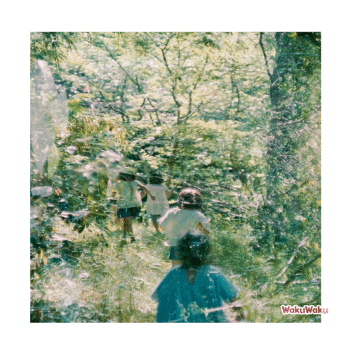 Moshimoss – Stones Of Paradise (LP 12 pulgadas)